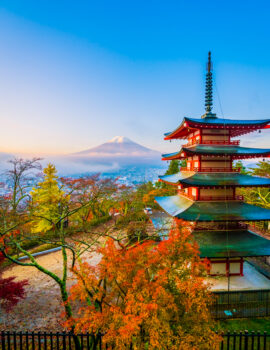 Most Amazing Places in Japan